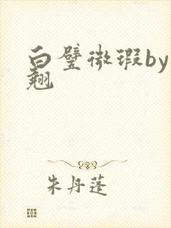 白璧微瑕by连翘