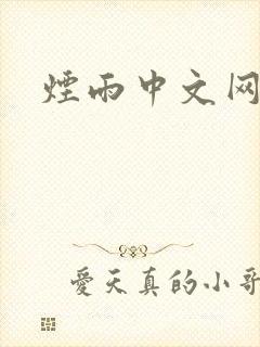 烟雨中文网封面