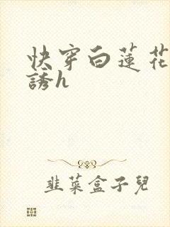 快穿白莲花的引诱h封面