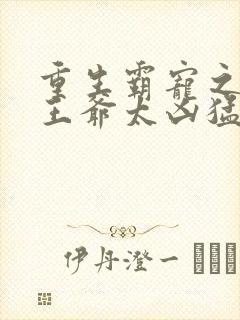 重生霸宠之摄政王爷太凶猛封面