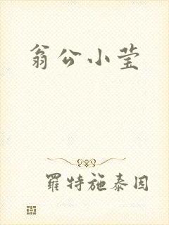 翁公小莹