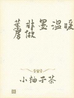 叶非墨温暖在厨房做