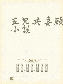 五兄共妻顾心儿小说