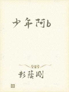 少年阿b封面
