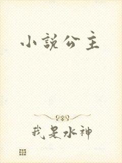 小说公主封面