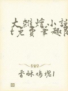 大杂烩小说txt免费笔趣阁封面