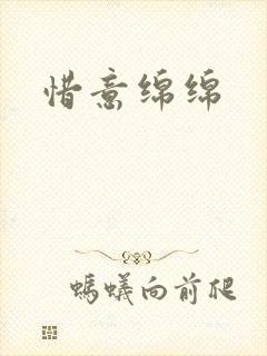 惜意绵绵封面