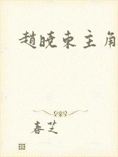 赵晓东主角小说