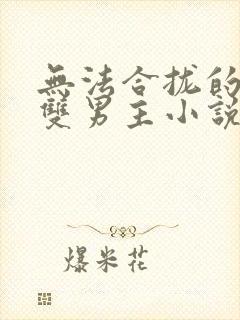 无法合拢的总裁双男主小说