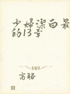 少妇洁白最刺激的13章