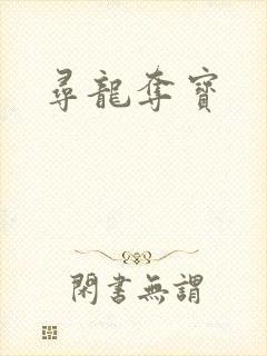 寻龙夺宝