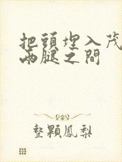 把头埋入茂密的两腿之间封面