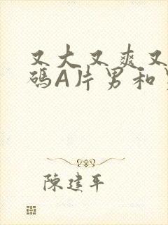 又大又爽又黄无码A片男和男