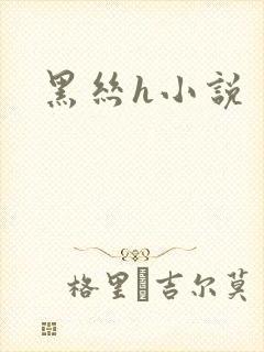 黑丝h小说