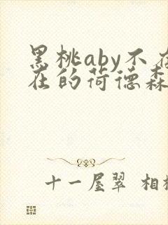 黑桃aby不存在的荷德森笔趣阁封面