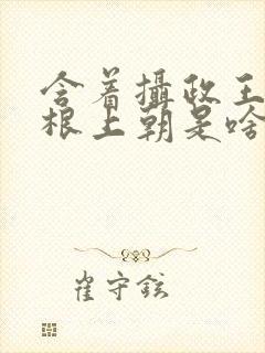 含着摄政王的紫根上朝是啥小说封面