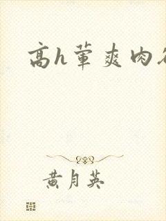 高h荤爽肉欲文