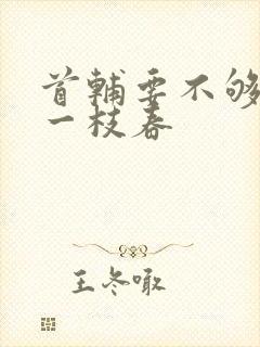 首辅要不够po一枝春封面