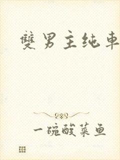 双男主纯车骨科封面