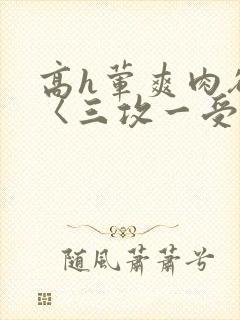 高h荤爽肉欲文〈三攻一受