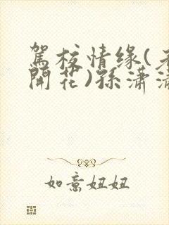 驾校情缘(老树开花)孙潇潇笔趣阁