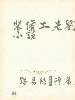 装修工老刘林雪小说