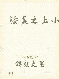 膝盖之上小说封面