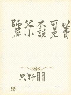 师父不可以洛灵犀小说免费阅读全文在线封面