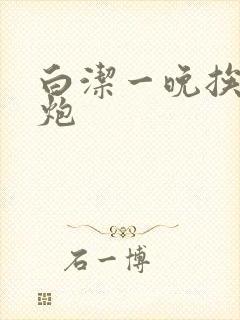 白洁一晚挨十二炮封面