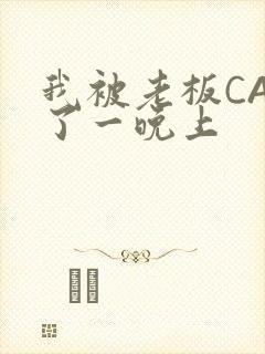 我被老板CAO了一晚上