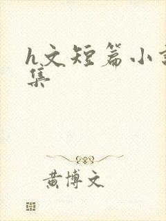 h文短篇小说合集封面
