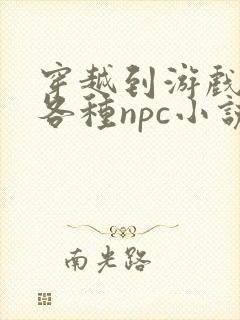 穿越到游戏里和各种npc小说