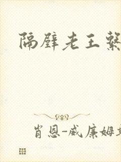 隔壁老王系统封面