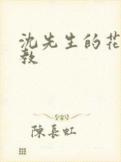 沈先生的花式调教封面