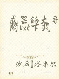 成器的大哥笔趣阁txt下载