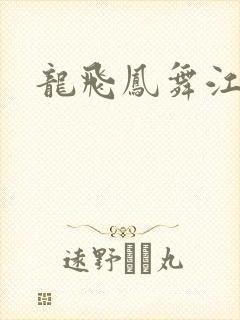 龙飞凤舞江一龙