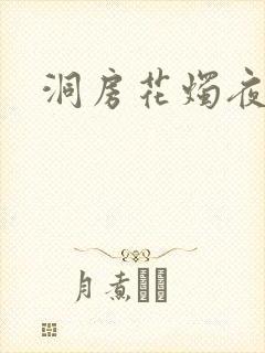 洞房花烛夜小说
