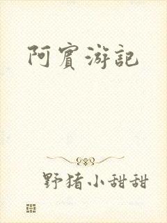 阿宾游记
