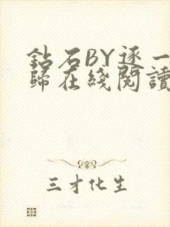 钻石BY逐一而归在线阅读封面