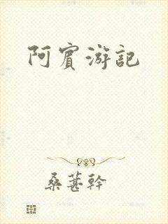 阿宾游记