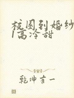 校园到婚纱1V1高冷甜