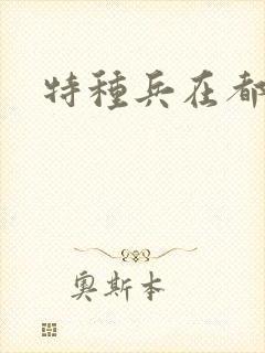 特种兵在都市封面