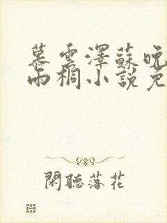 慕云泽苏晚晴夏雨桐小说免费阅读封面