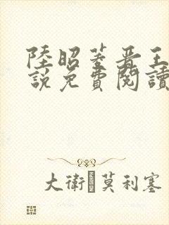 陆昭菱晋王的小说免费阅读