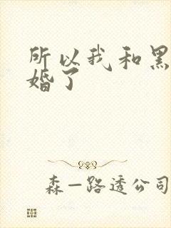 所以我和黑粉结婚了