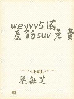 weyvv5国产的suv免费