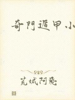 奇门遁甲小说封面