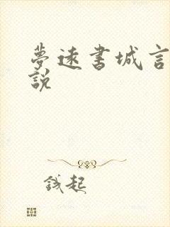 梦远书城言情小说封面