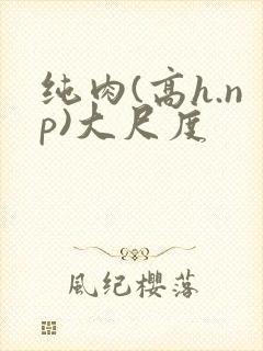 纯肉(高h.np)大尺度