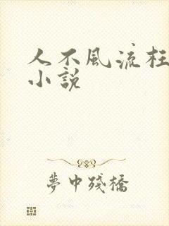 人不风流枉少年小说